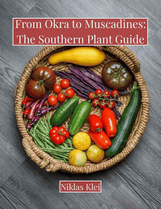 From Okra to Muscadines: The Southern Plant Guide (Softcover)